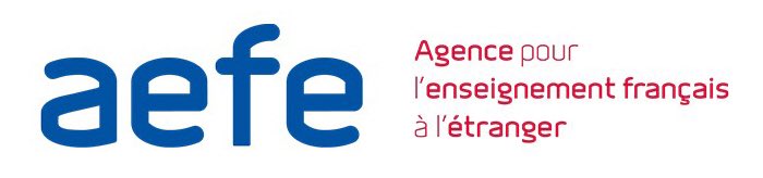 Mission Pour R former L enseignement Fran ais L tranger ACCUEIL